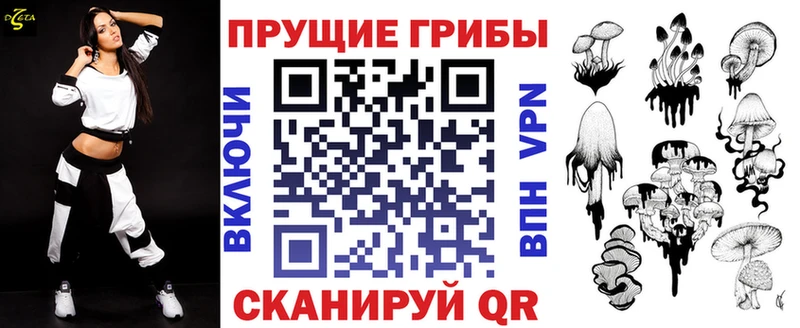 Псилоцибиновые грибы Cubensis  Нурлат 