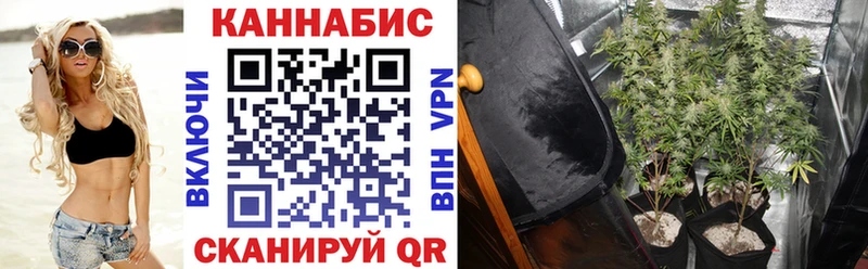 Канабис OG Kush  shop официальный сайт  Нурлат  цена  